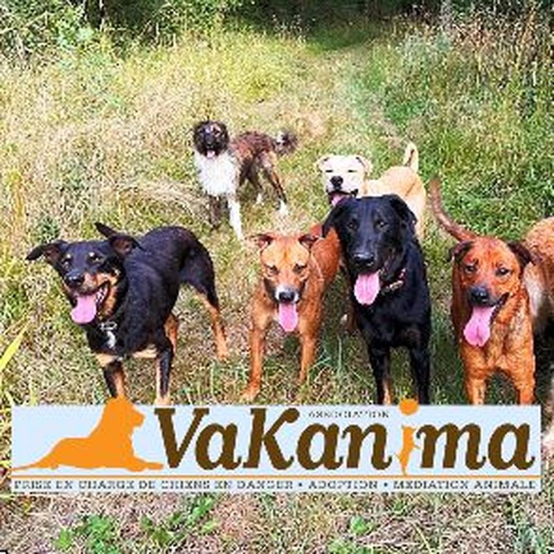 Association Vakanima-36